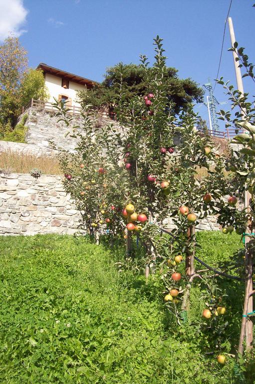 Agriturismo Au Jardin Fleuri Antey-Saint-André エクステリア 写真